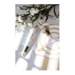 خودکار کراس مدل Bailey بدنه کروم با قطعات و جزئیات آبکاری شده با طلا 23 عیار