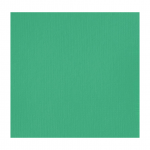 سبز روشن Aqua آکریلیک BASICS از برند LIQUITEX