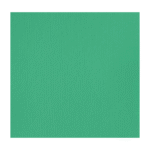 سبز روشن Aqua آکریلیک BASICS از برند LIQUITEX