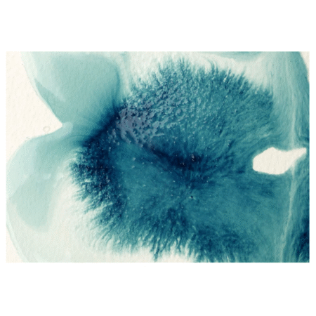 مدیوم روان کننده PROFESSIONAL از برند Liquitex حجم 118ml