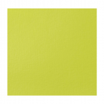سبز Brilliant yellow آکریلیک BASICS از برند LIQUITEX