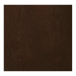 قهوه ای Burnt umber آکریلیک BASICS از برند LIQUITEX