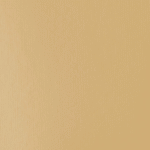 تیتانیوم Unbleached آکریلیک BASICS از برند LIQUITEX