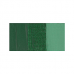 رنگ پلی کالر Brilliant Green Deep برند Maimeri حجم 140ml