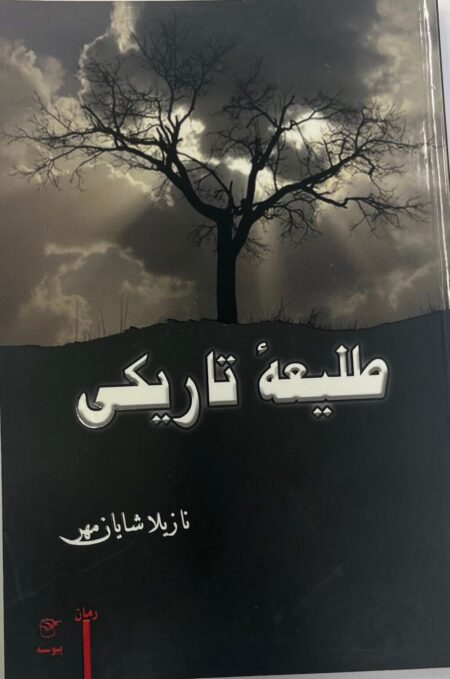 کتاب طلیعه تاریکی نازیلا شایان مهر