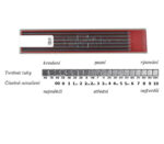 مغزی 2 میل کوه نور Kooh-i-noor - تصویر 2