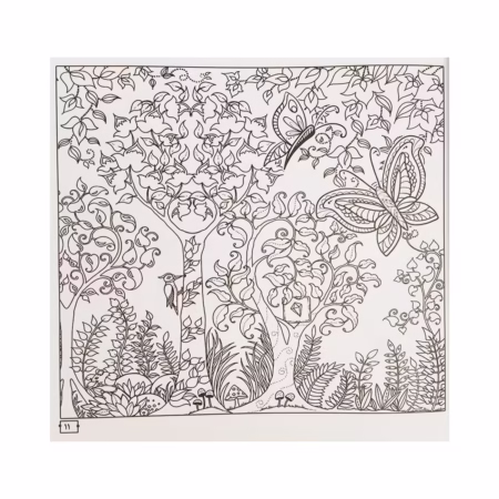 کتاب رنگ آمیزی بزرگسالان جنگل اسرار آمیز