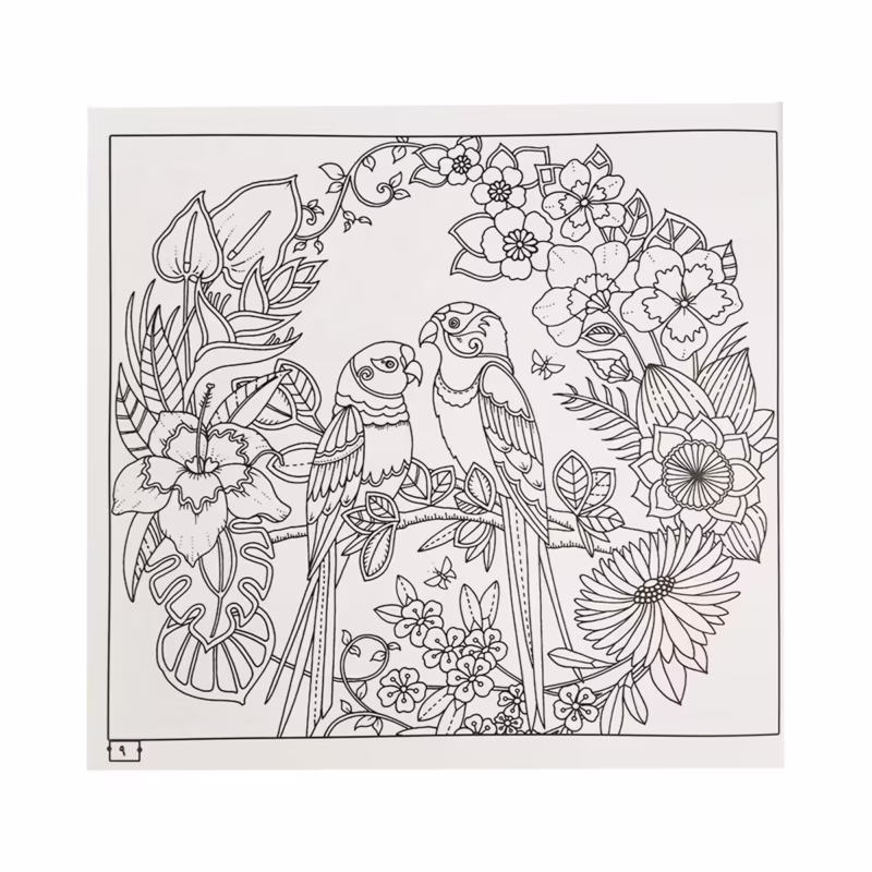 کتاب رنگ آمیزی بزرگسالان طبیعت