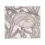 کتاب رنگ آمیزی بزرگسالان اقیانوس پنهان